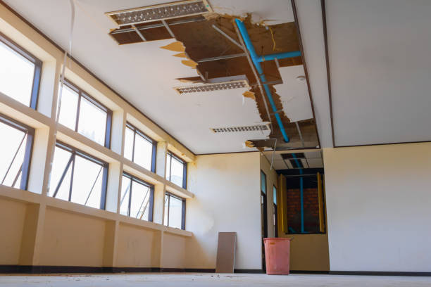 Best Flooded house restoration  in Riley, KS