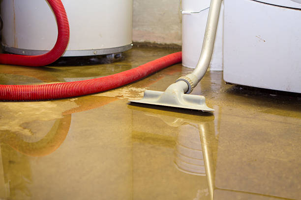 Best Local water damage restoration  in Riley, KS