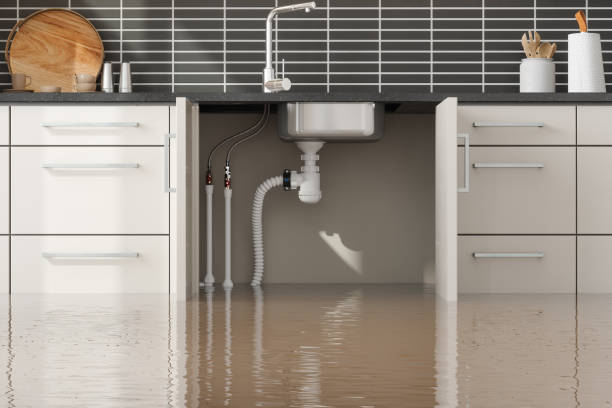 Best Basement water damage restoration  in Riley, KS