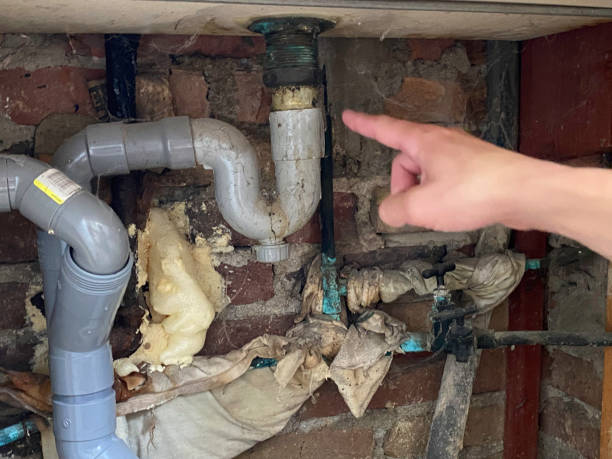 Best Fire Damage Restoration  in Riley, KS