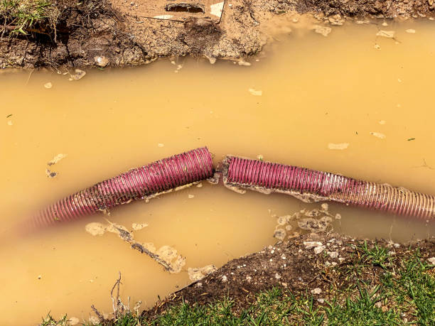 Best Commercial water damage restoration  in Riley, KS