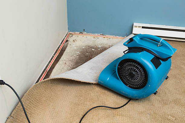 Best 24-hour water damage restoration  in Riley, KS